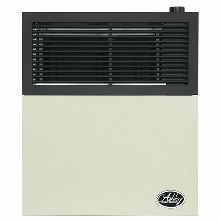 ASHLEY HEARTH PRODUCTS 11,000 BTU Direct Vent Natural Gas Wall Heater DVAG11N